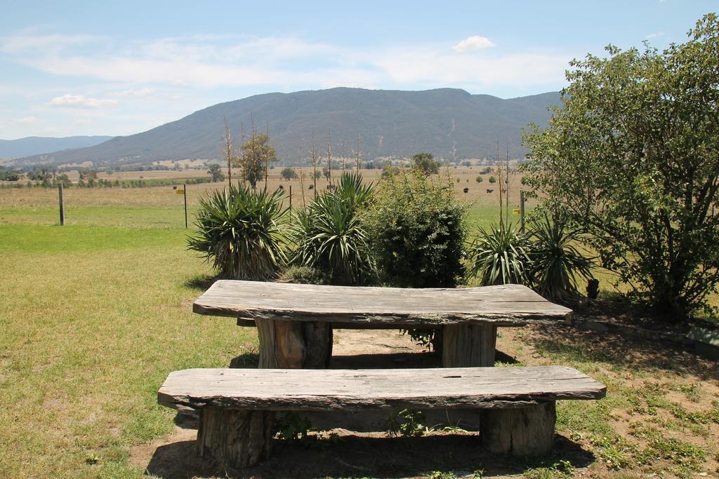 Mountain View Motel Corryong Zewnętrze zdjęcie